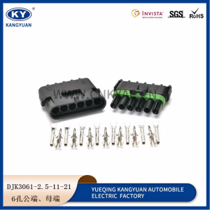12015799/12010975 Delphi Series 6Pin Female male Weatherpack Connector kit