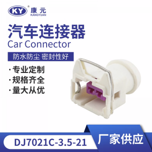 2P automotive connectors harness white plug automotive connectors DJ7021C-3.5-21