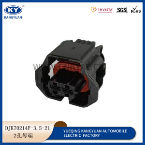 15397337 Buick Chevrolet direction machine solenoid valve plug 2p hole Delphi connector