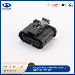 09408621 adjust solenoid valve plug automotive connector DJK70512Y-1.2-21