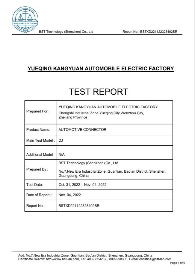 BSTXD221122323402SR EN 60529 IP67 cemark Report