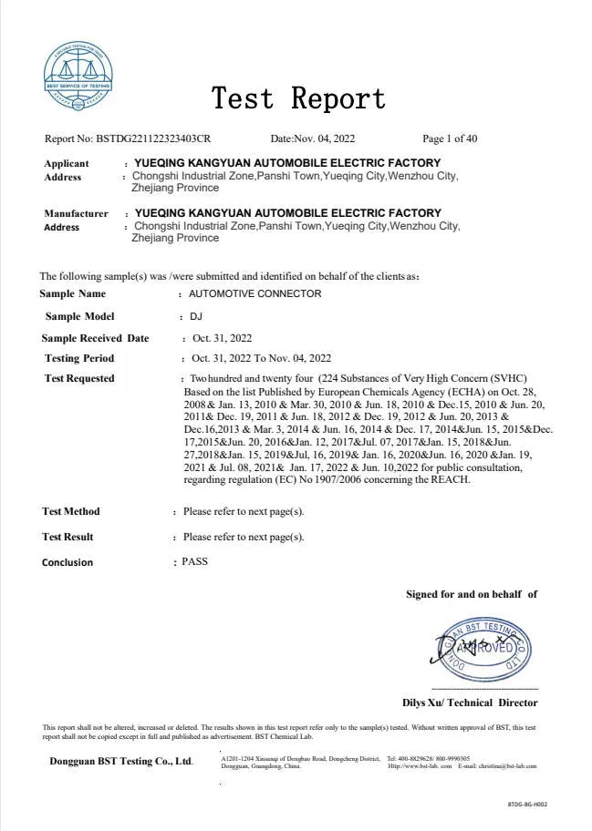 BSTDG221122323403CR REACH