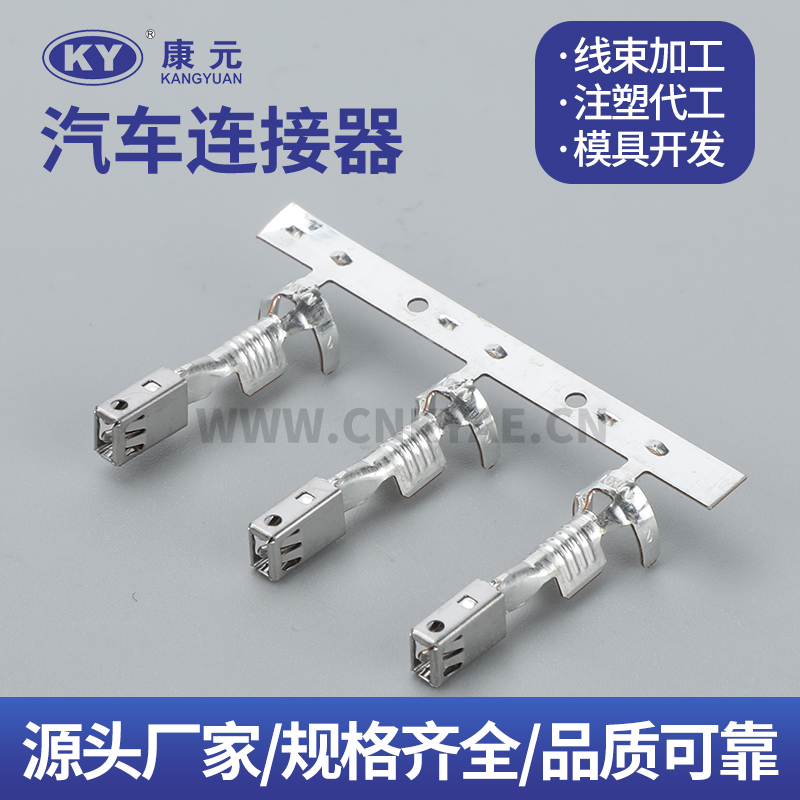 0989102030 Terminal series Car ECU Automobile Waterproof Connector Featured Image