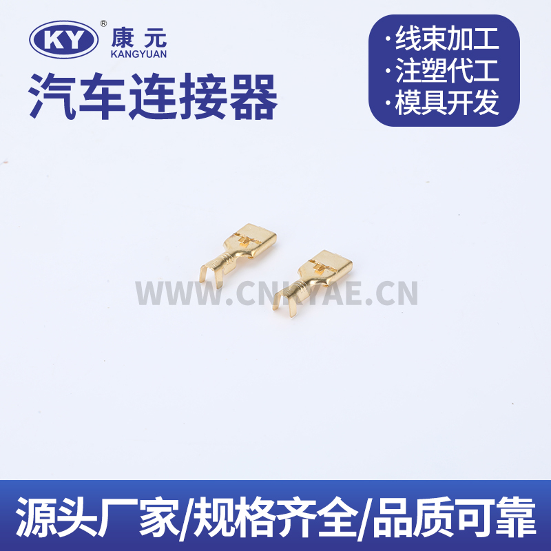 6.3 Single contact stamping on flat plate terminal DJ62 Terminal series Car ECU Automobile Waterproof Connector Featured Image