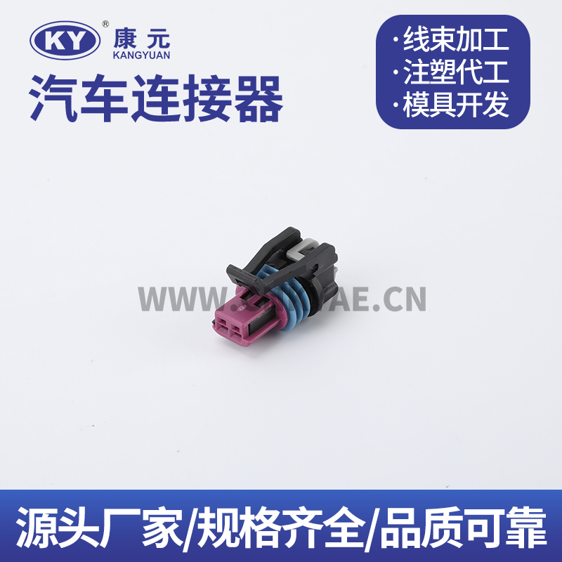 DJK7026YB-1.5-21 Car ECU Automobile Waterproof Connector 2 pin