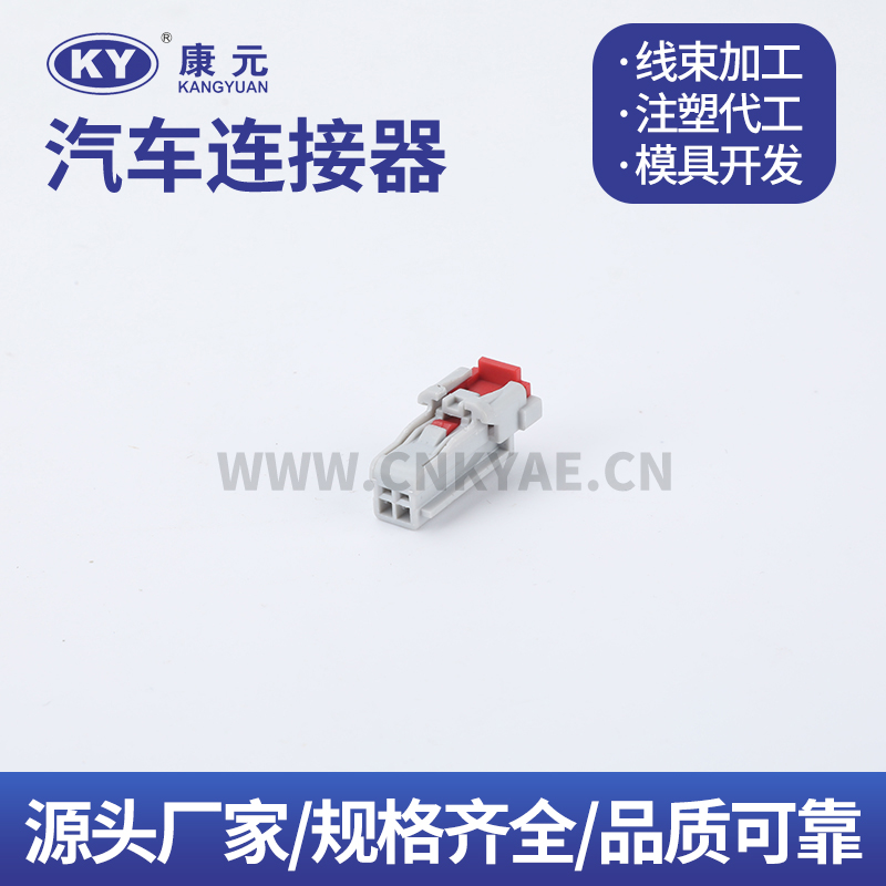 6089-8989 DJK70283Y-1.0-21 Car ECU Automobile Waterproof Connector 2 pin