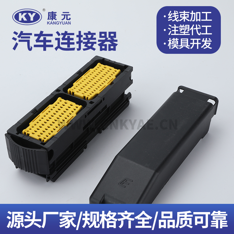 DJK71207Y-2.5-21 E2424180 wire harness series 20 pin Car ECU Automobile Waterproof Connector 