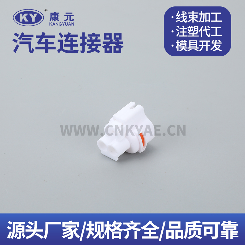 MG640795   DJ7021Y-2-21 Car 2 pin ECU Automobile Waterproof Connector 