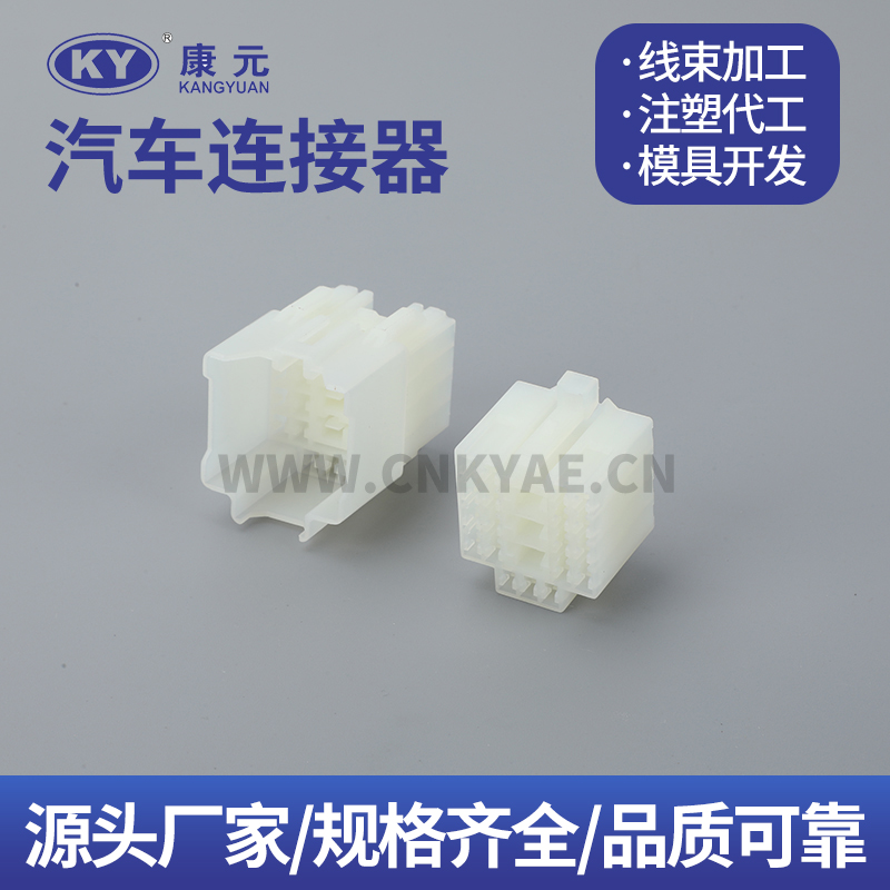 DJK7221-6.3-2-21-11 Car ECU Automobile Waterproof Connector